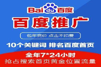 百度推广实战攻略：案例与策略